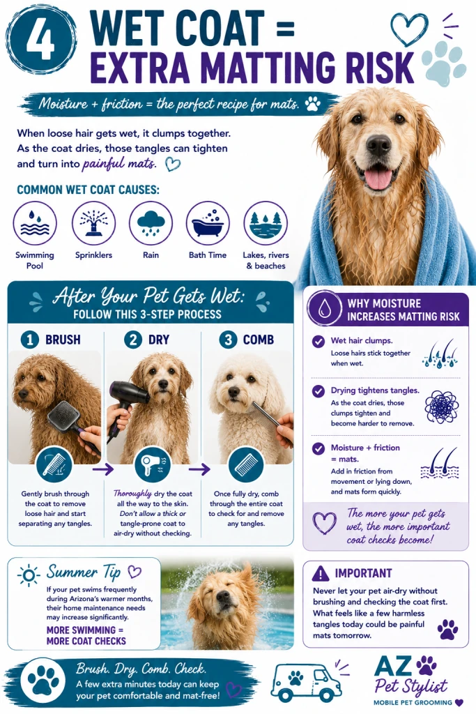Wet coat matting prevention: gently brush, dry thoroughly, and comb after swimming, rain, sprinklers or bathing.