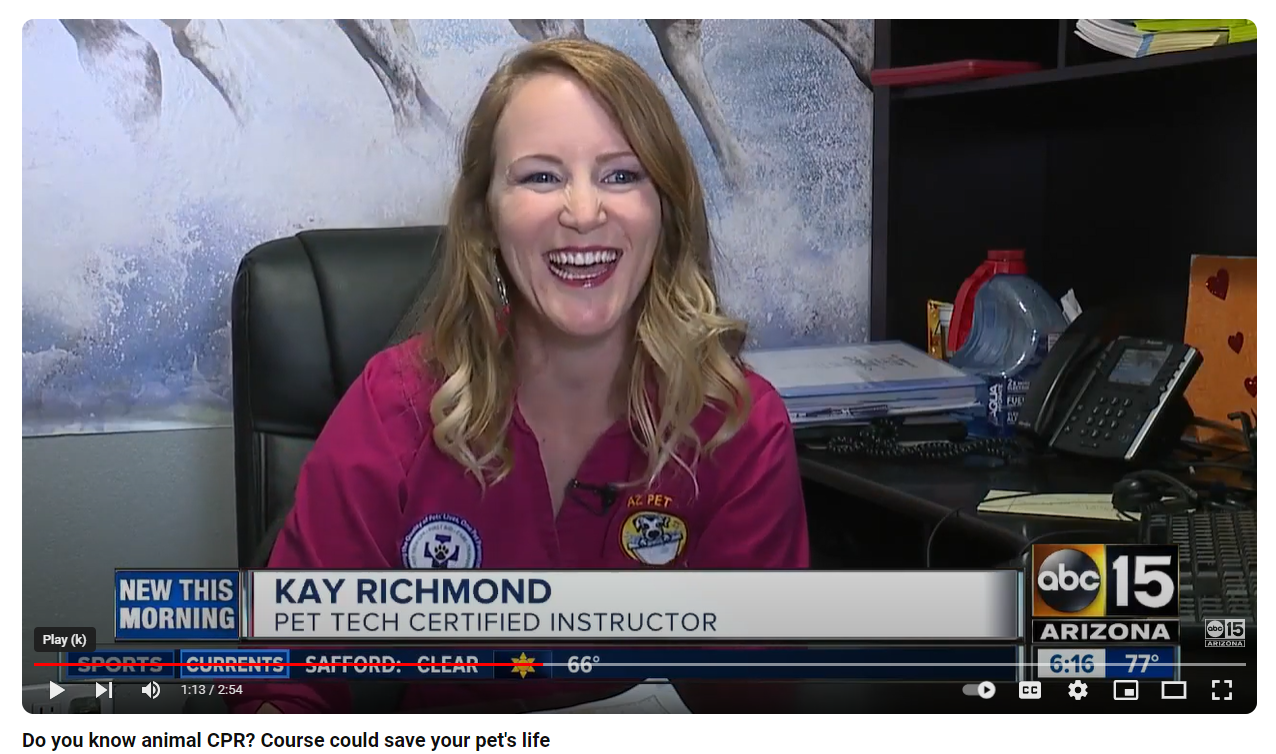 ABC15 Arizona news segment featuring Kay Richmond as a Pet Tech Certified Instructor teaching pet CPR
