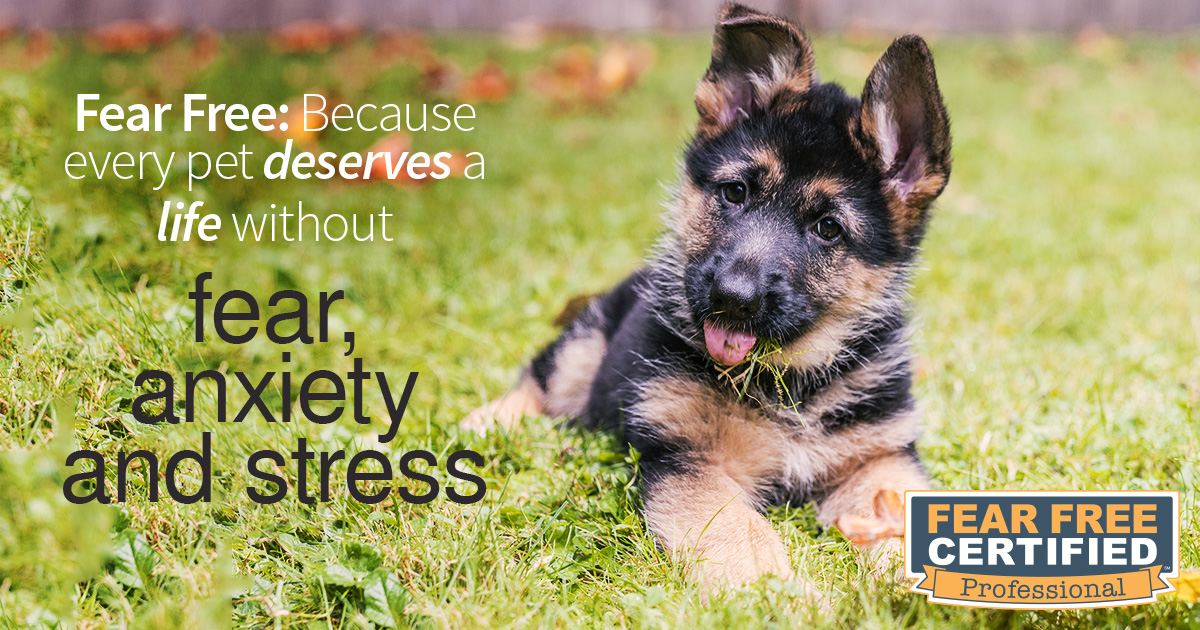 Fear Free Certified Professional — because every pet deserves a life without fear, anxiety, and stress