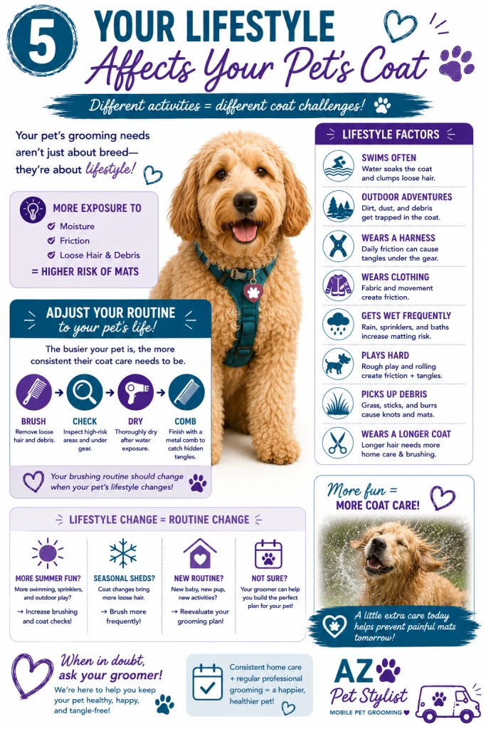 How swimming, outdoor adventures, harnesses, clothing and longer haircuts affect your pet’s coat care routine.